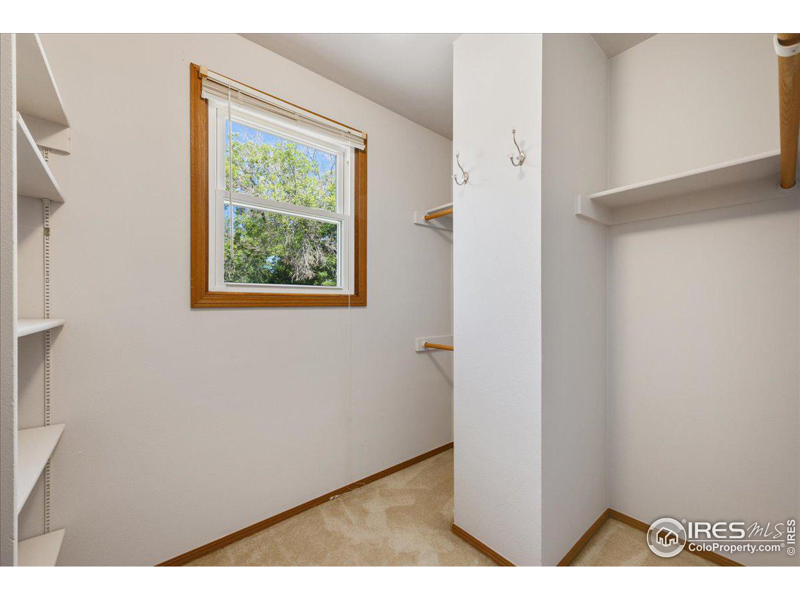 310 Wadsworth Ct