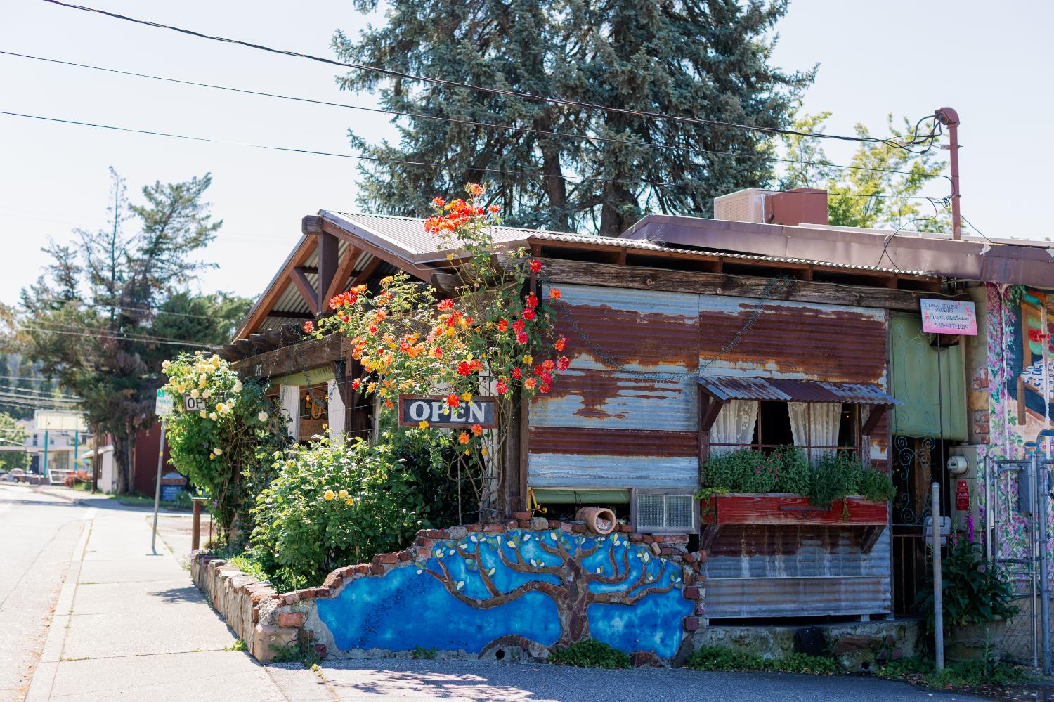 217 Colfax Avenue