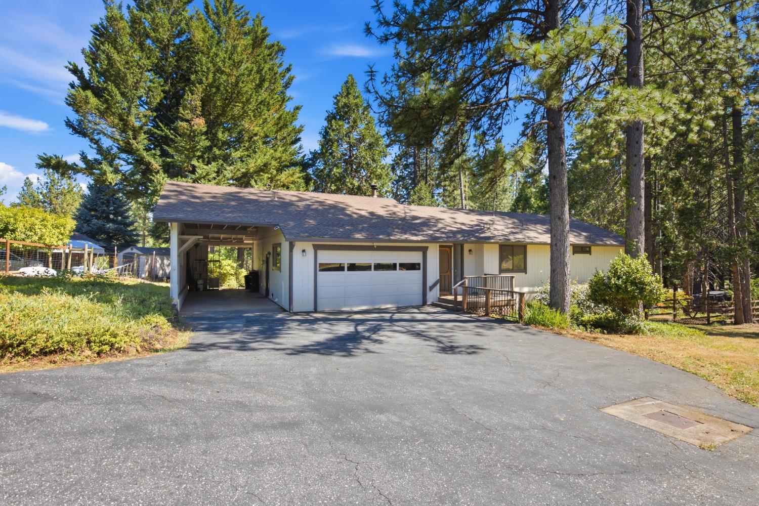 Single-story house with a wide driveway and attached garage among tall pine trees.