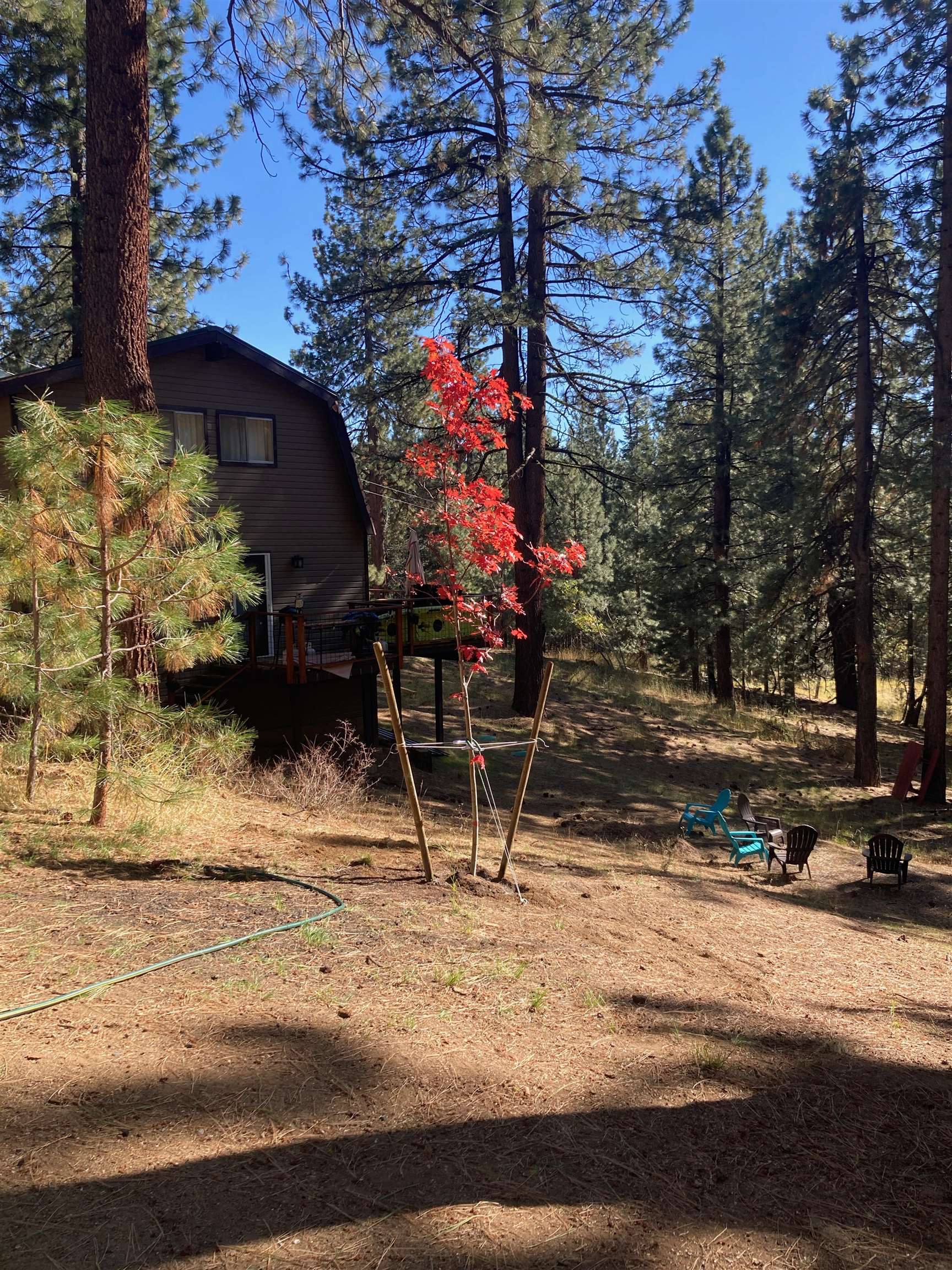 1063 Buckskin Lane