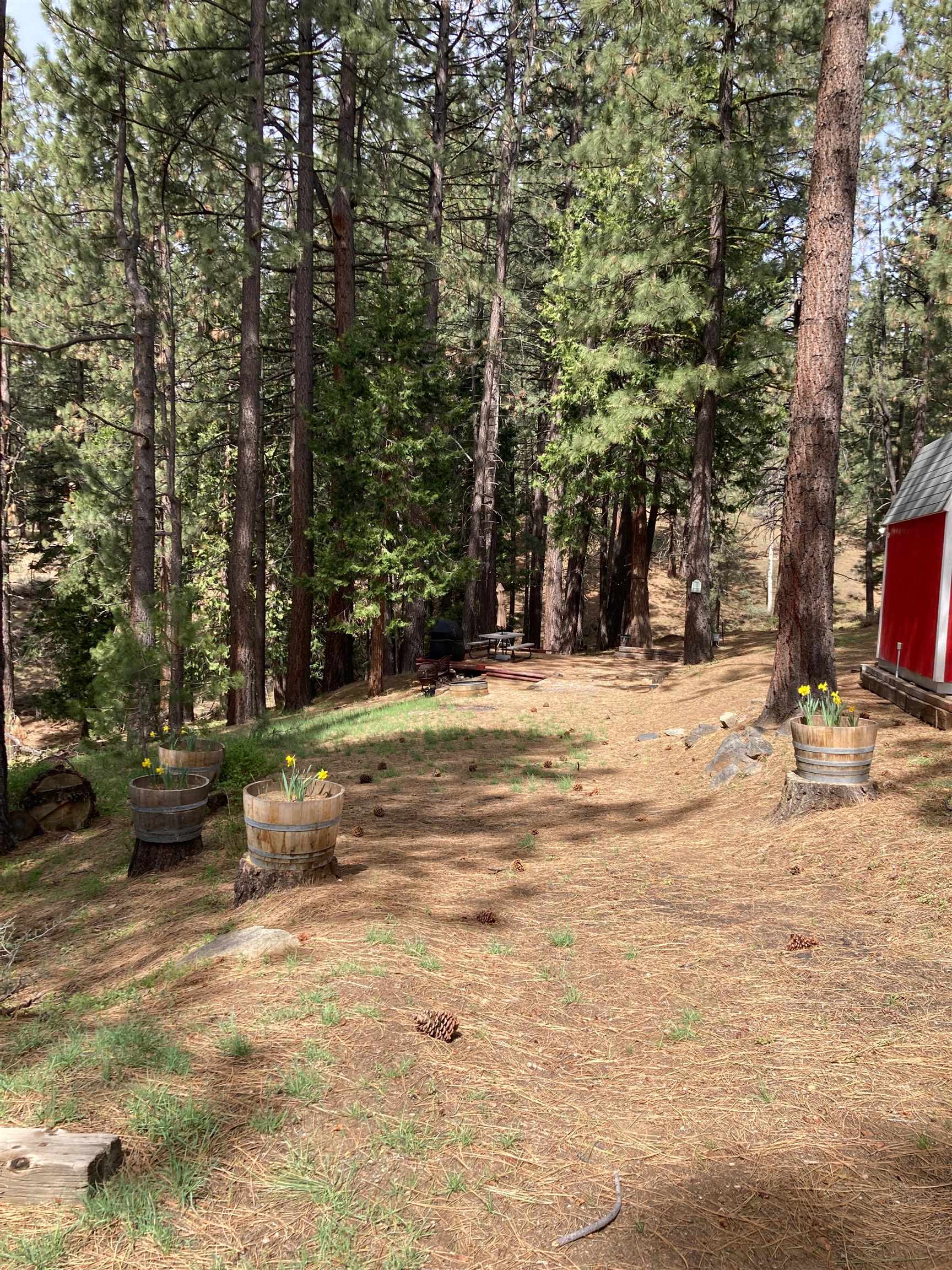 1063 Buckskin Lane