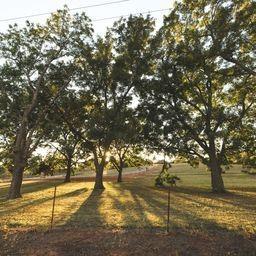 339952 E 980 Road