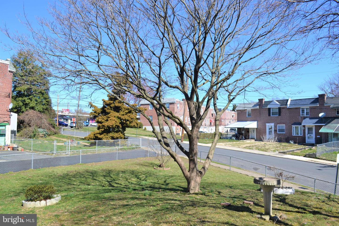 Grassy yard with a large leafless tree and brick row homes across the street.