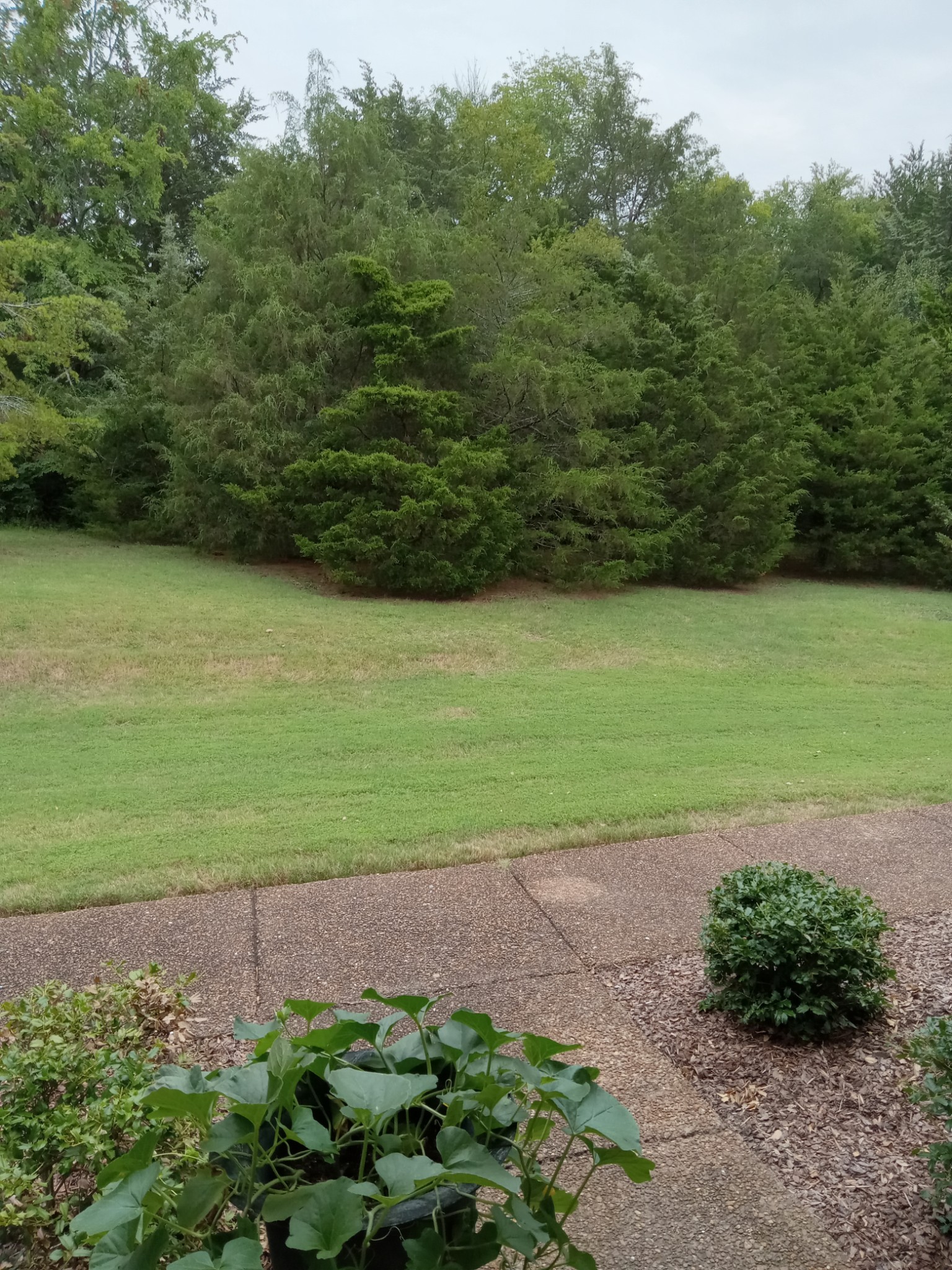 7118 Sunrise Cir