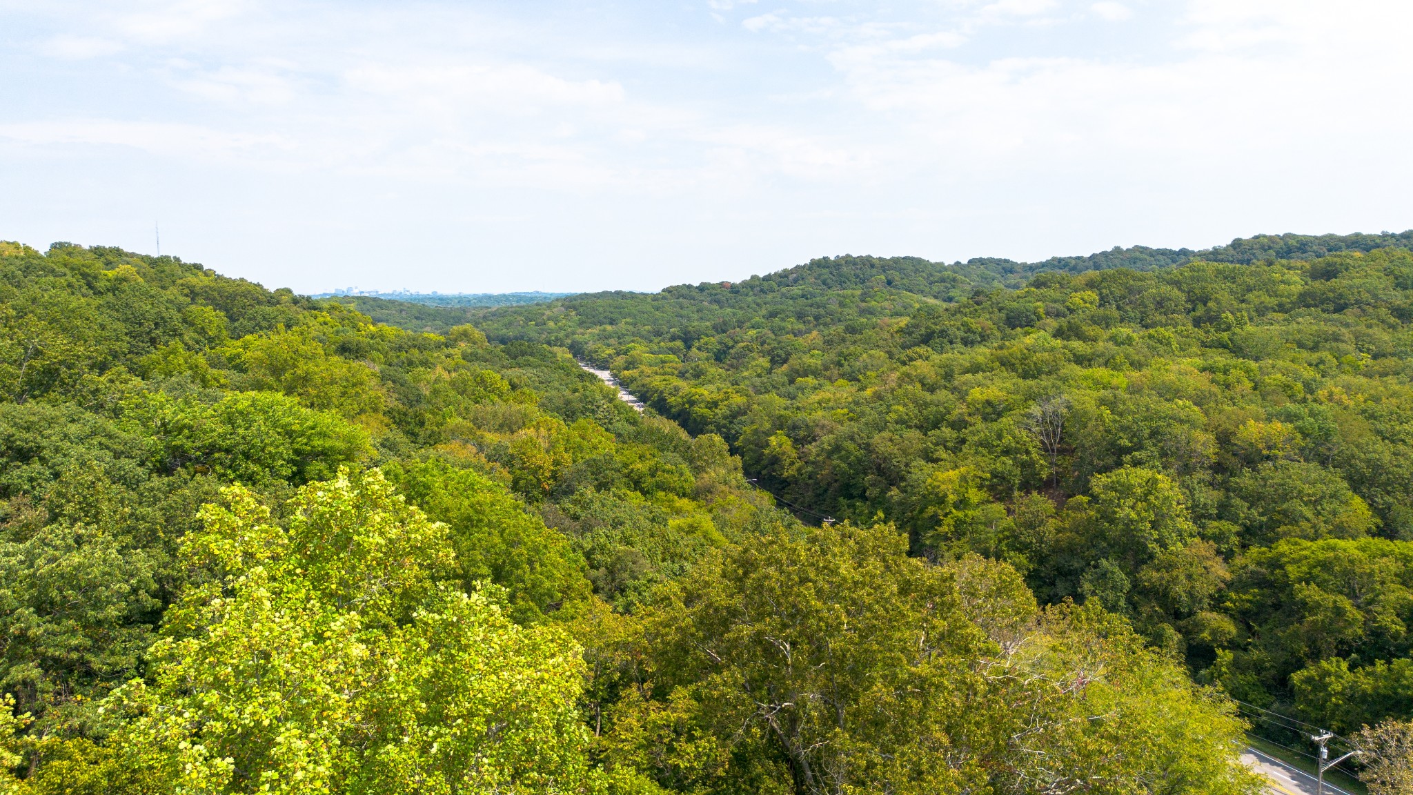 109 Harpeth Trace Ct