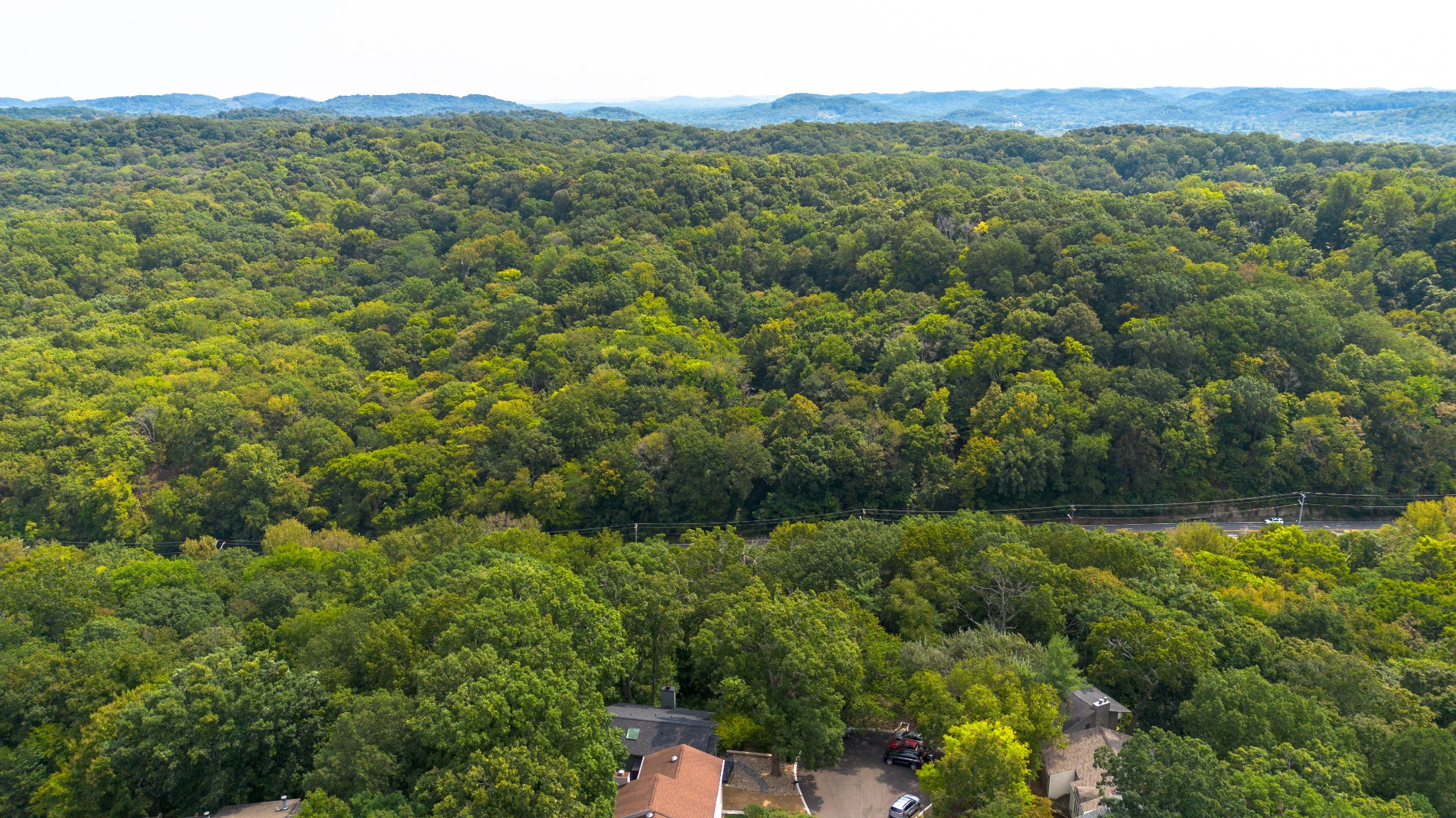 109 Harpeth Trace Ct