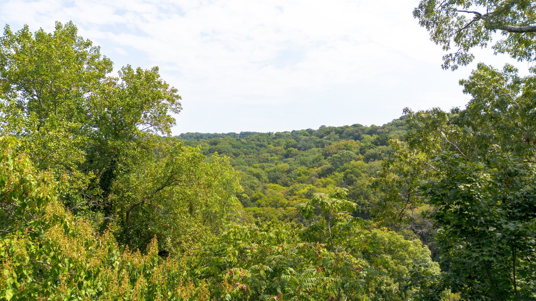 109 Harpeth Trace Ct