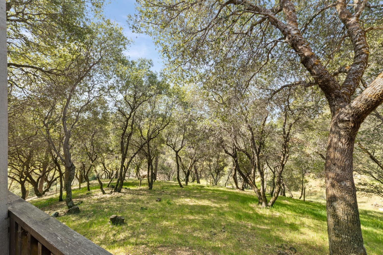 2130 Hidden Gold Trail