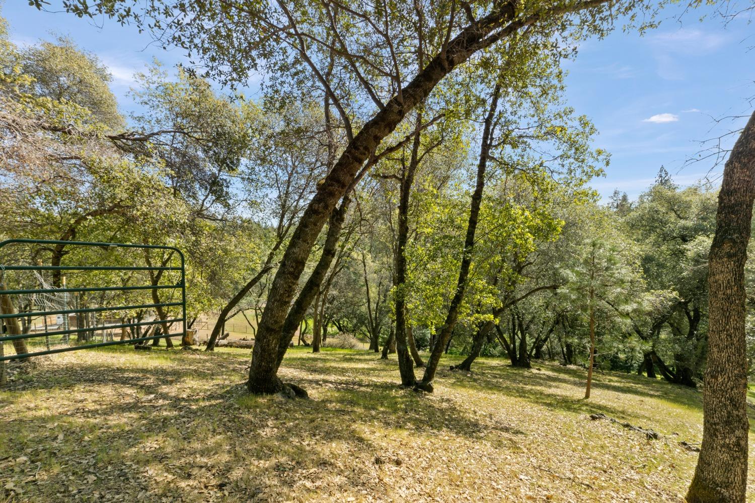 2130 Hidden Gold Trail