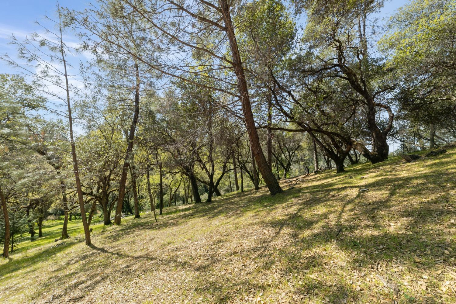 2130 Hidden Gold Trail