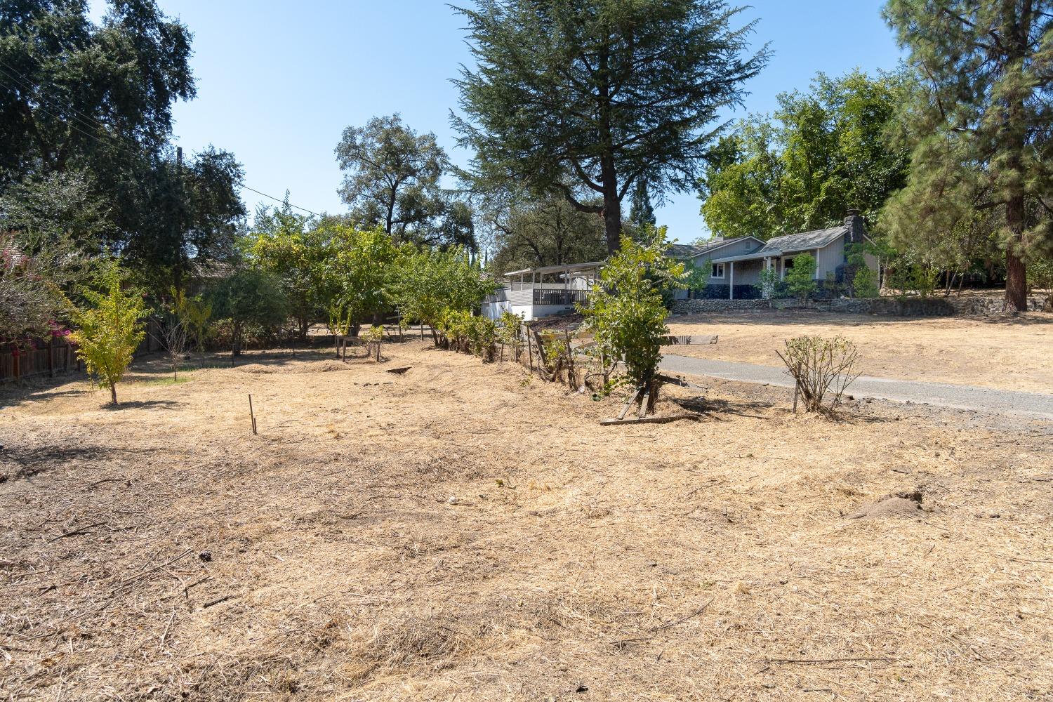 8550 Greenback Lane