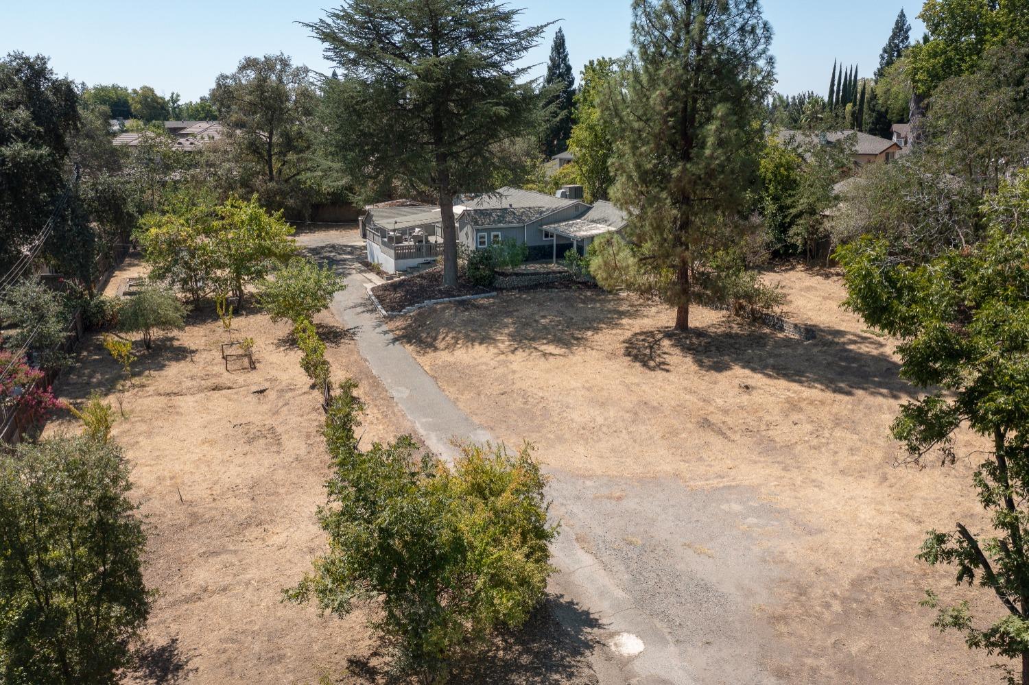 8550 Greenback Lane