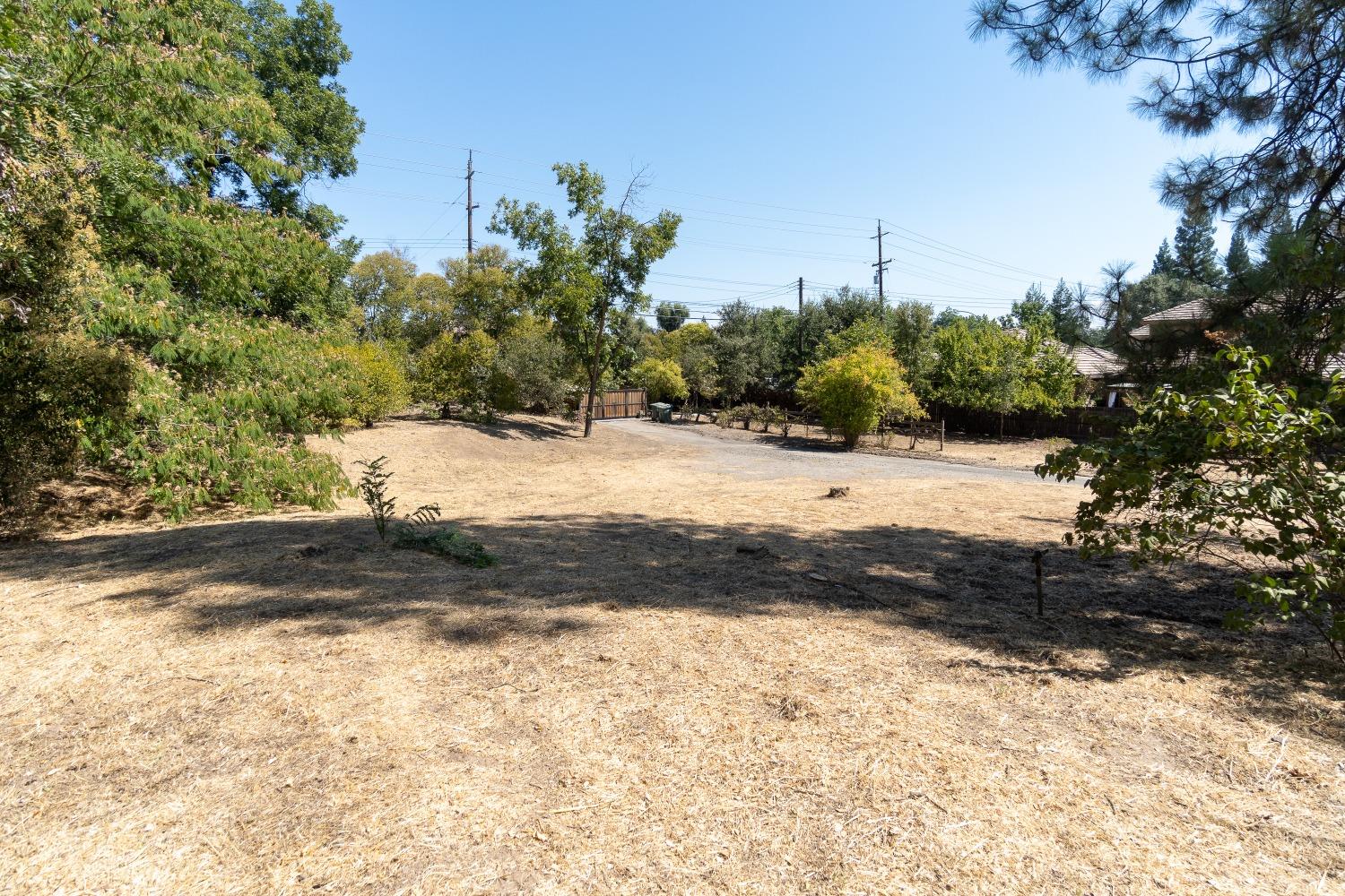 8550 Greenback Lane