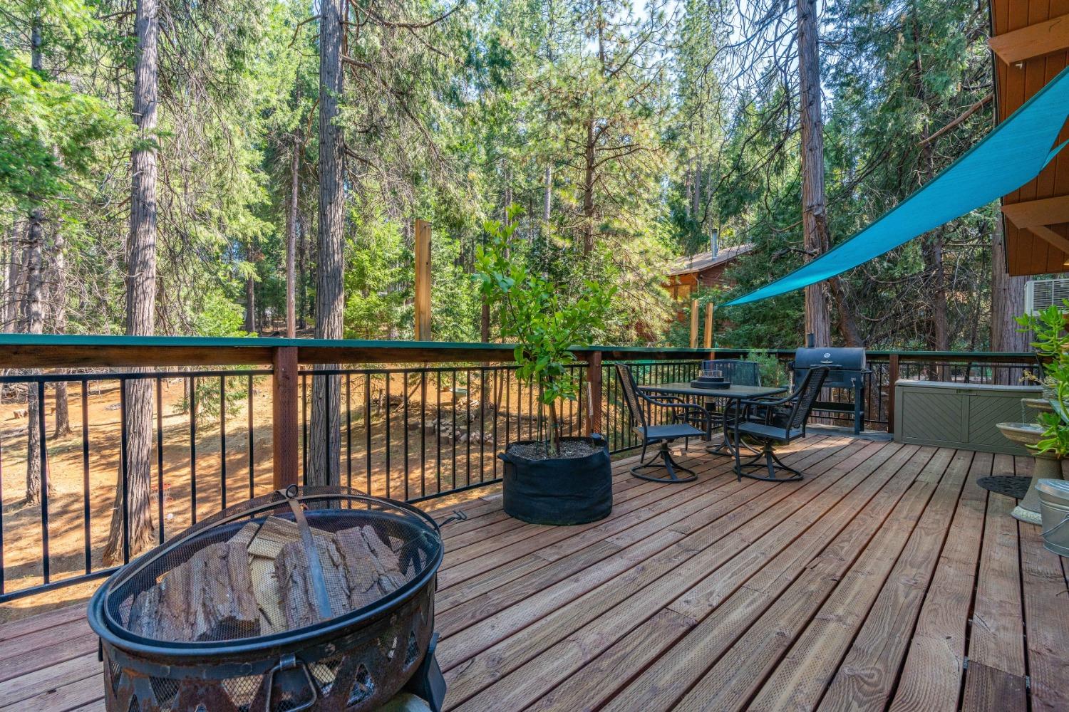 16923 Mckenzie Drive