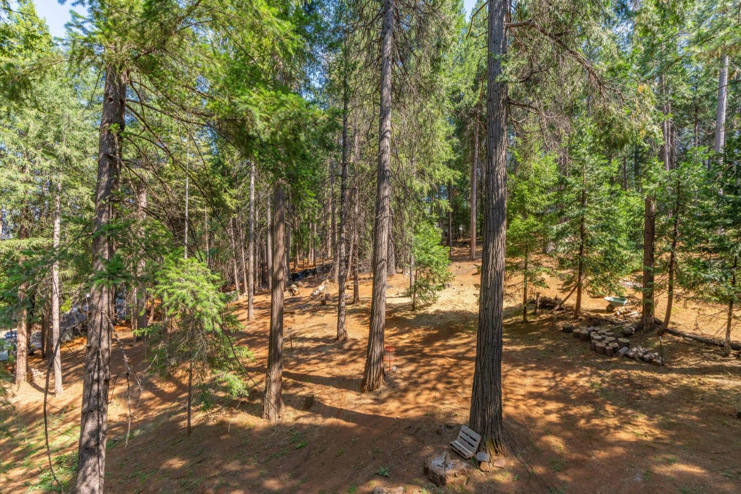 16923 Mckenzie Drive