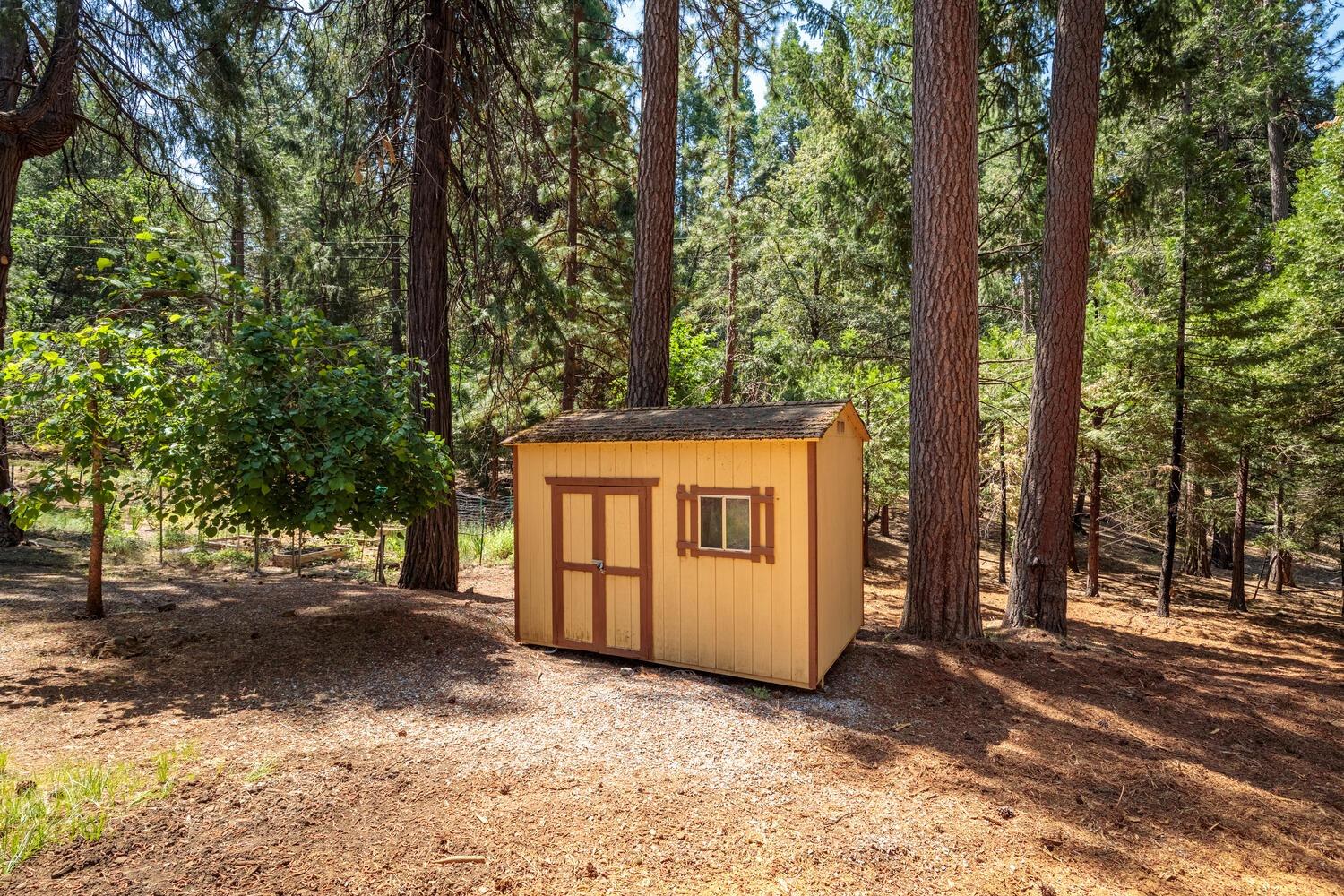 23750 Fiddletown Road