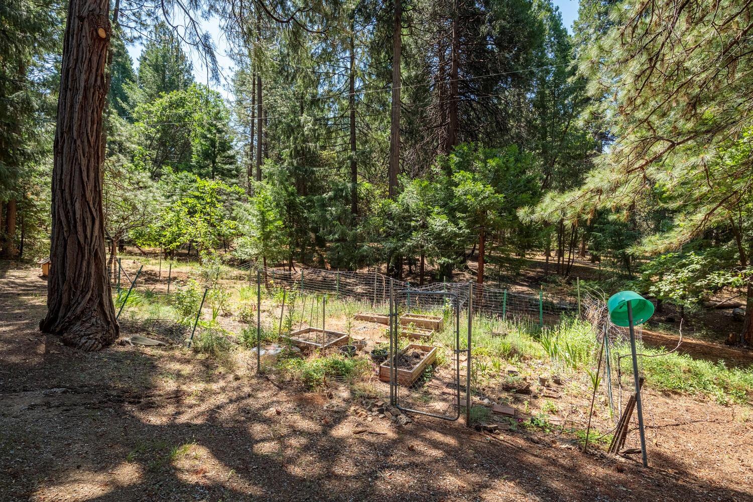 23750 Fiddletown Road