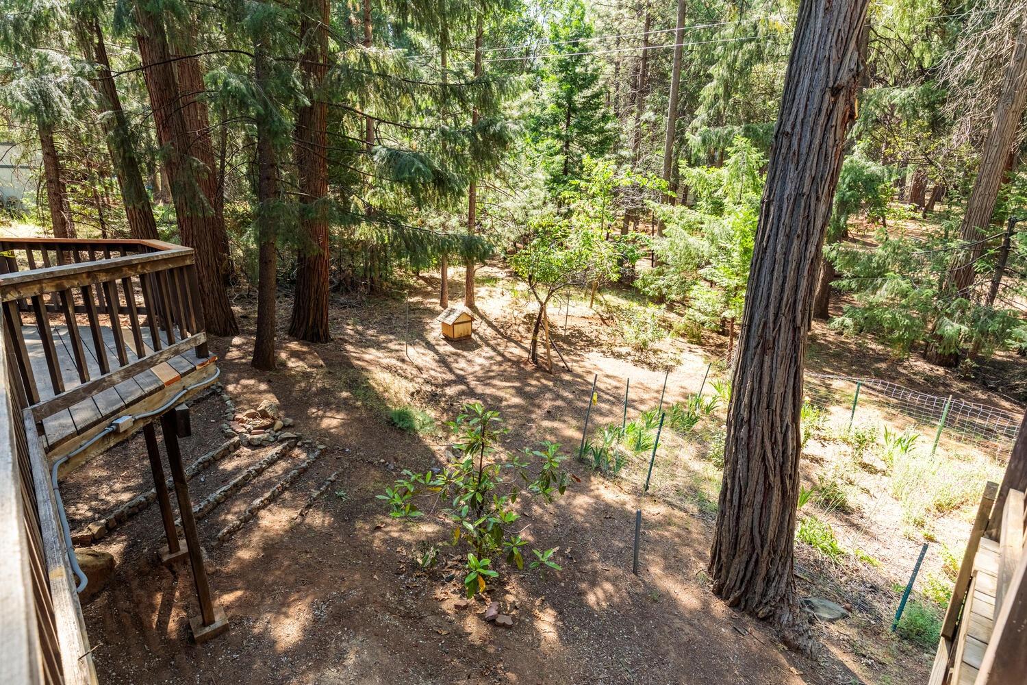 23750 Fiddletown Road