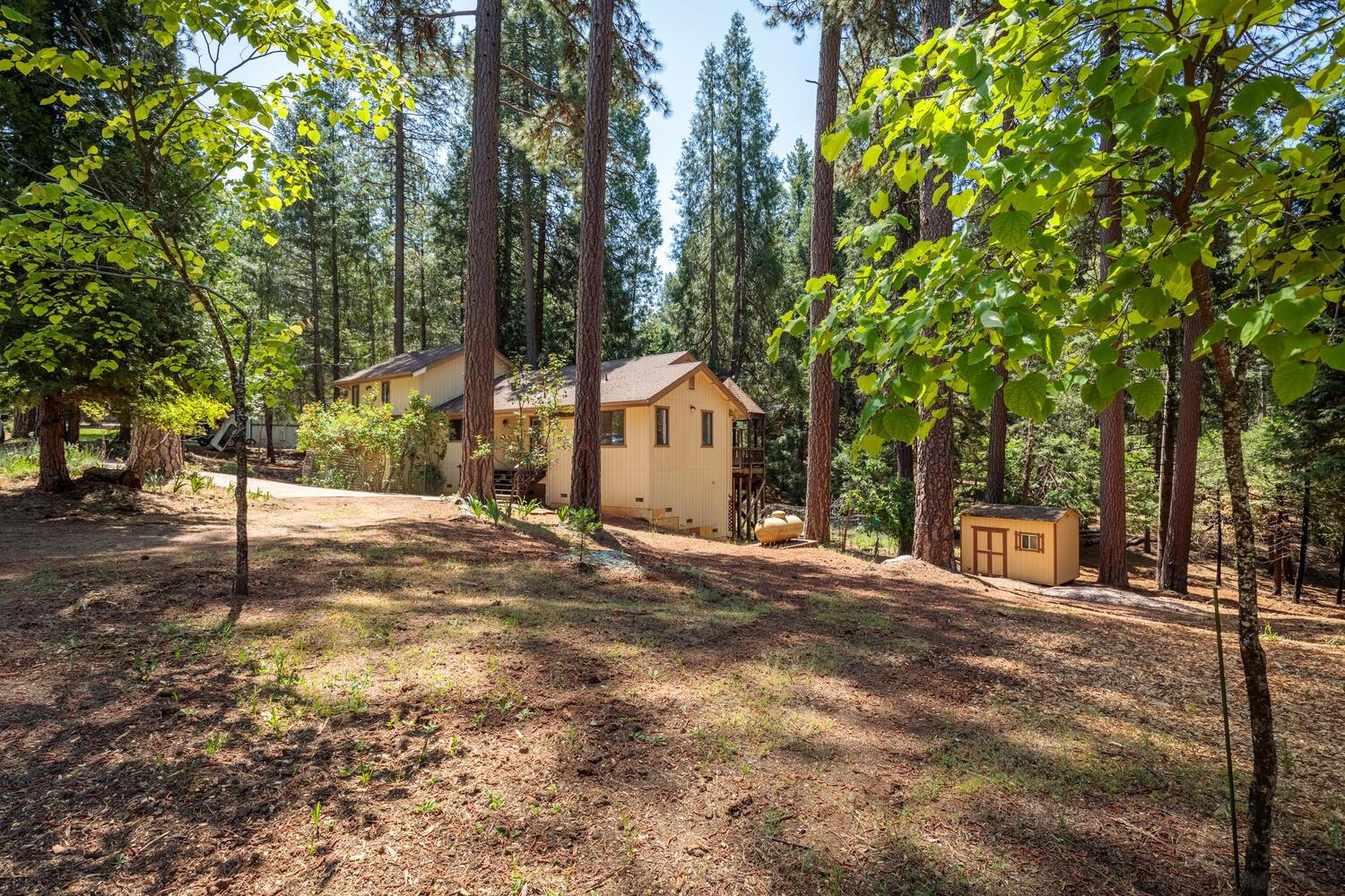 23750 Fiddletown Road
