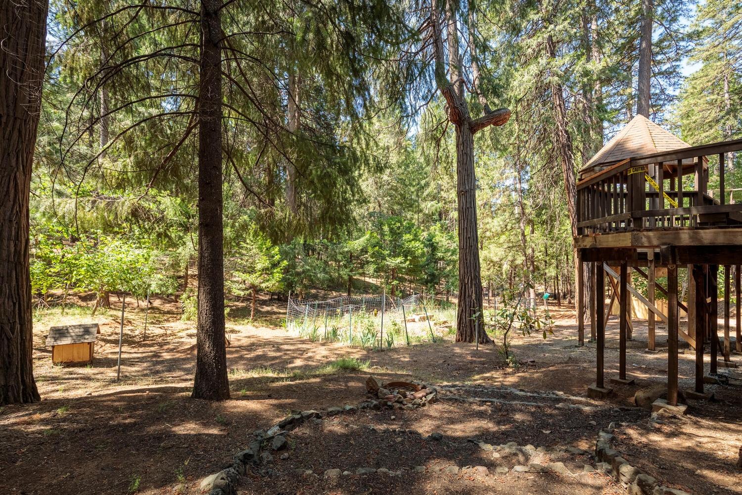 23750 Fiddletown Road