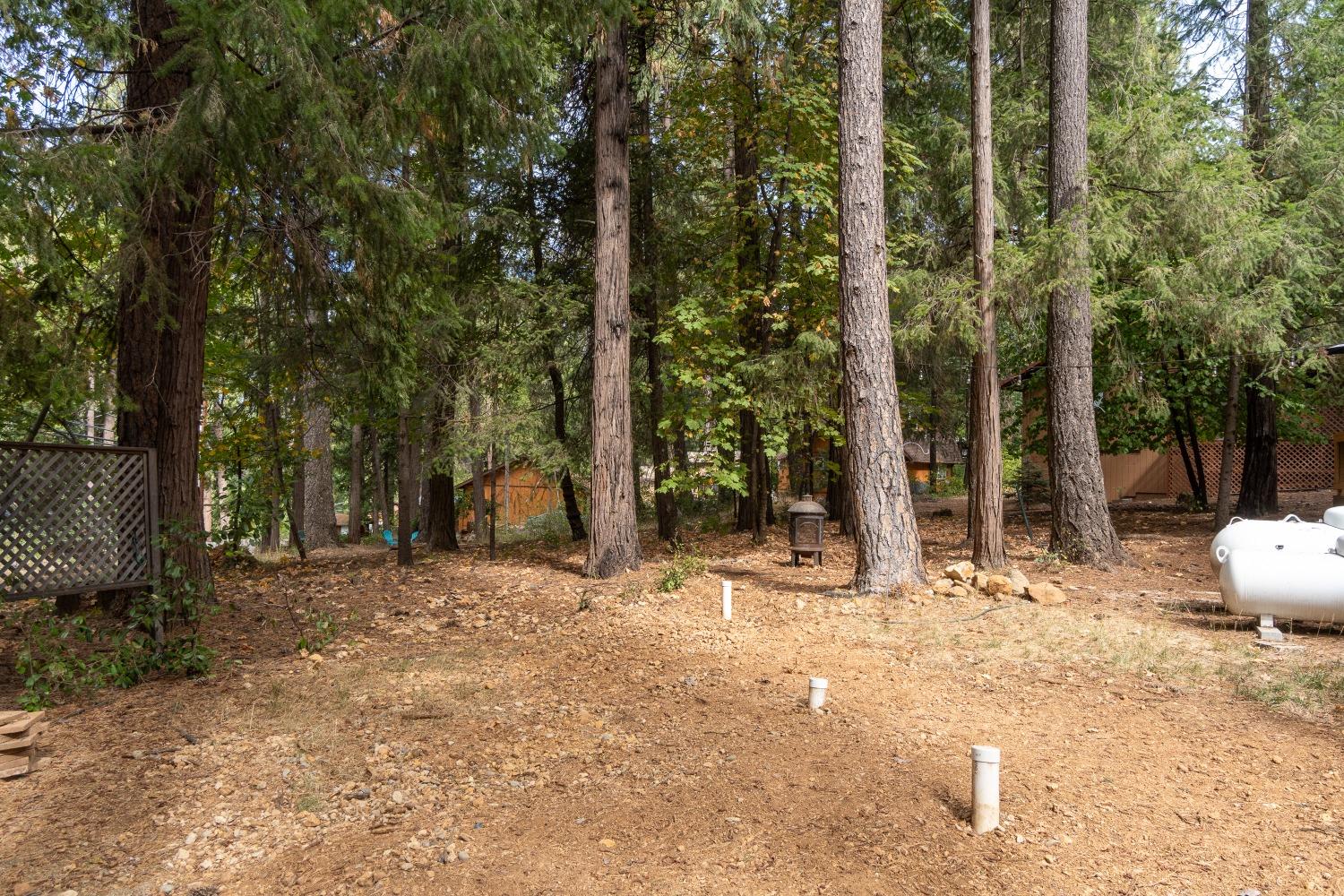 3128 Gold Ridge Trail
