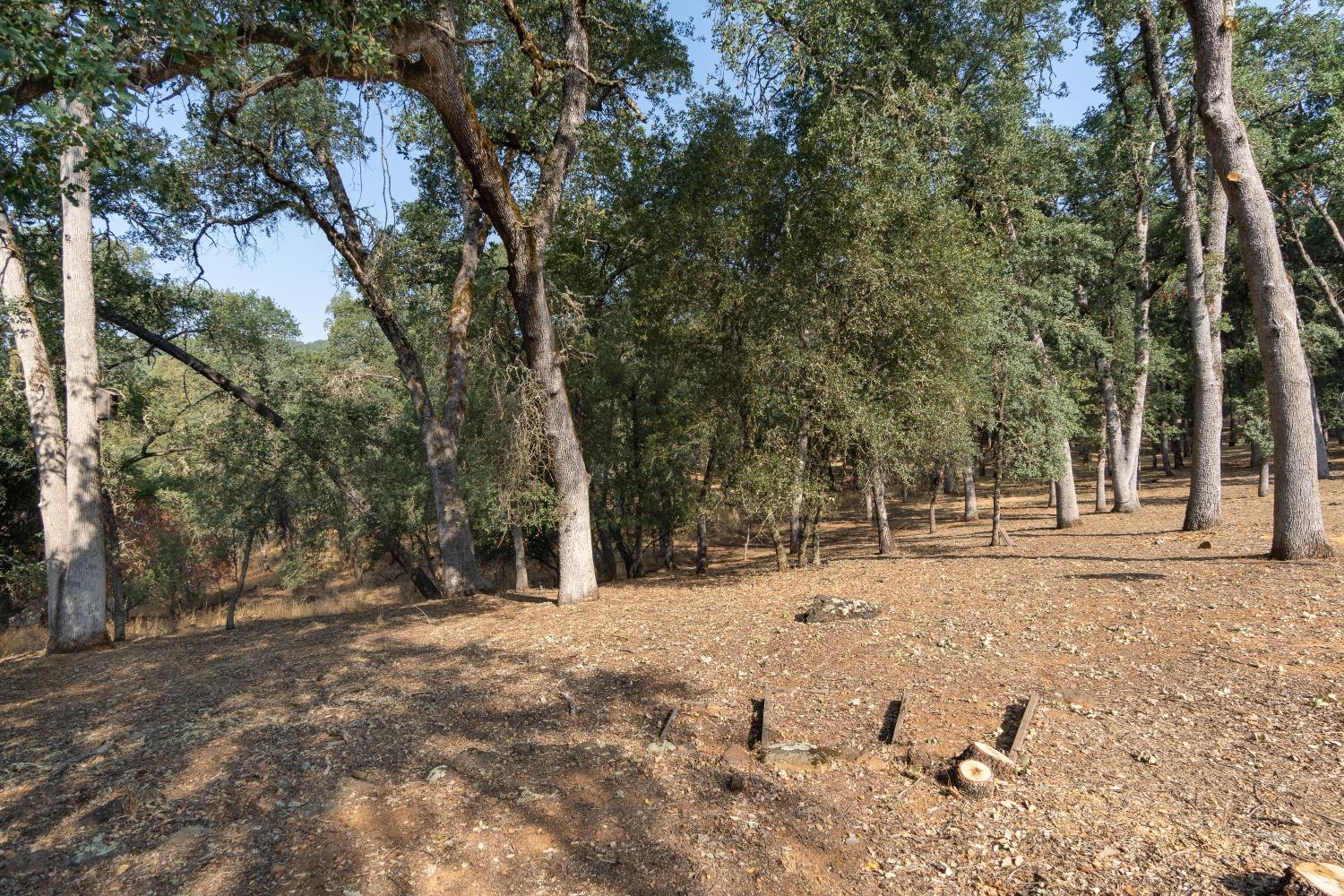 5145 Reservation Road