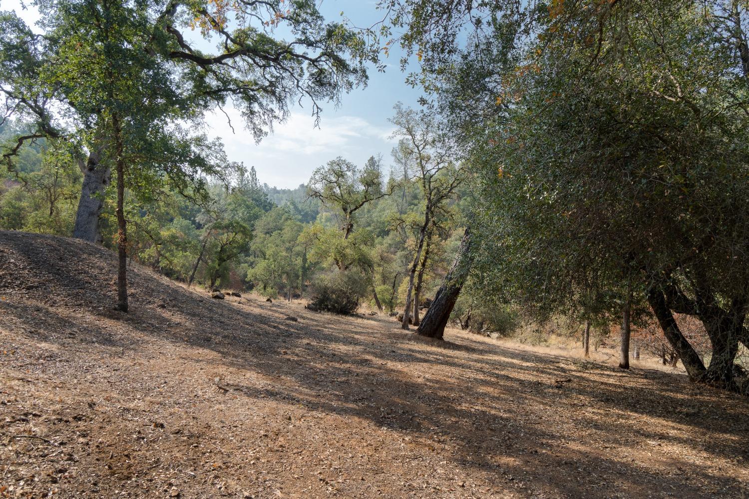 5145 Reservation Road
