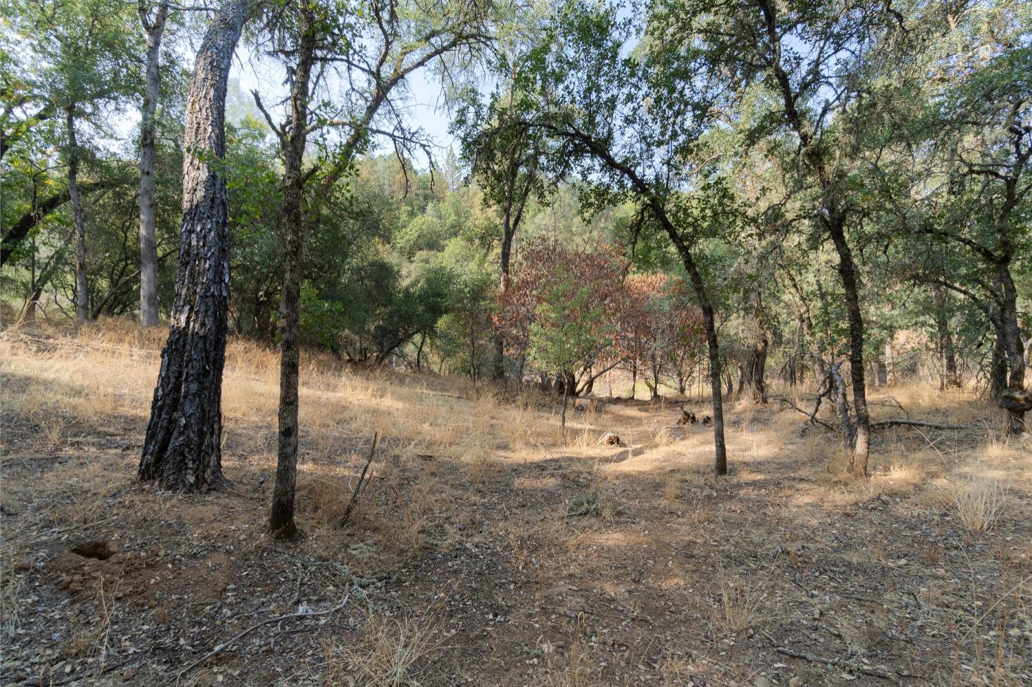 5145 Reservation Road