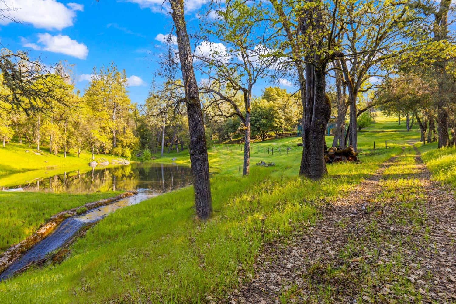 3361 Cedar Creek Road