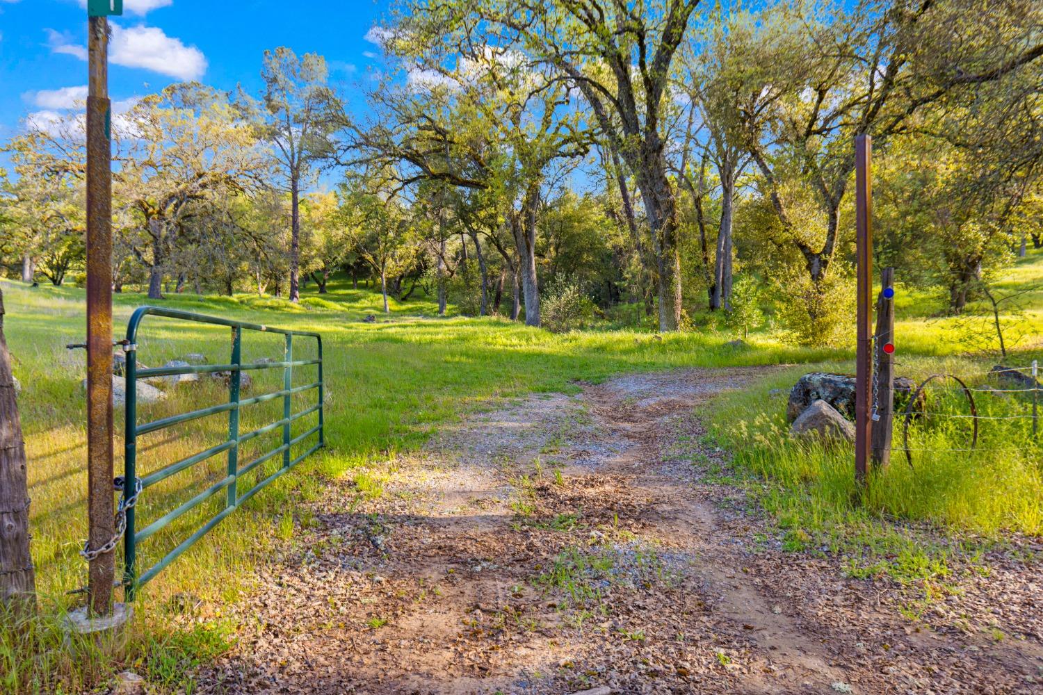 3361 Cedar Creek Road