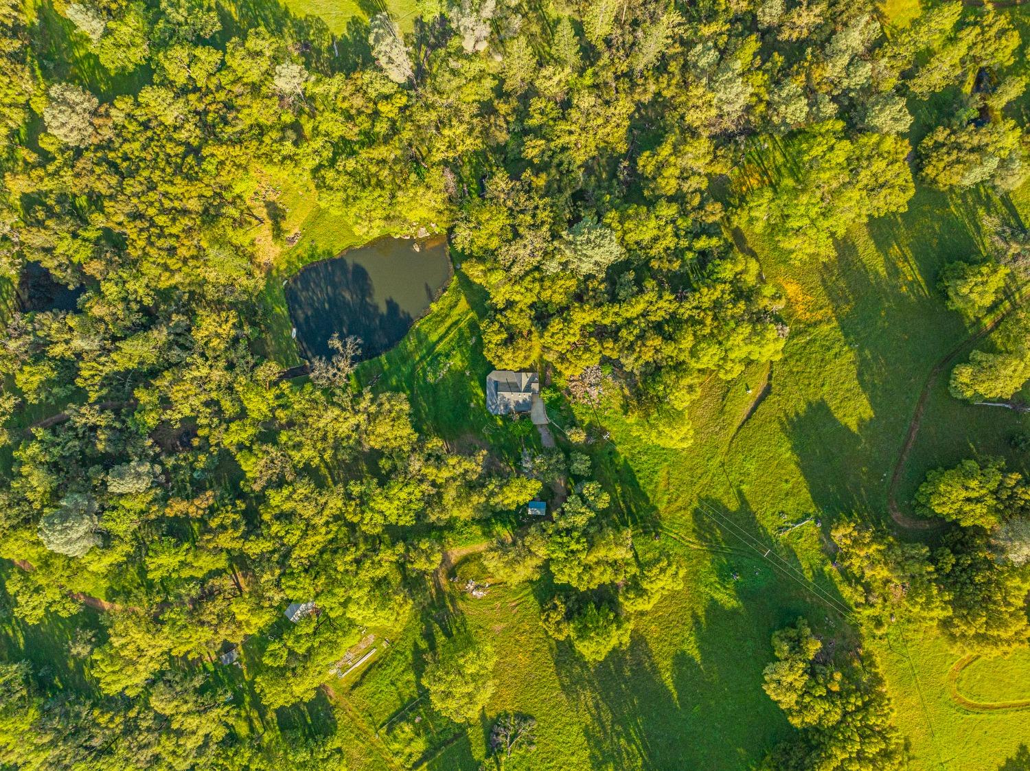 3361 Cedar Creek Road