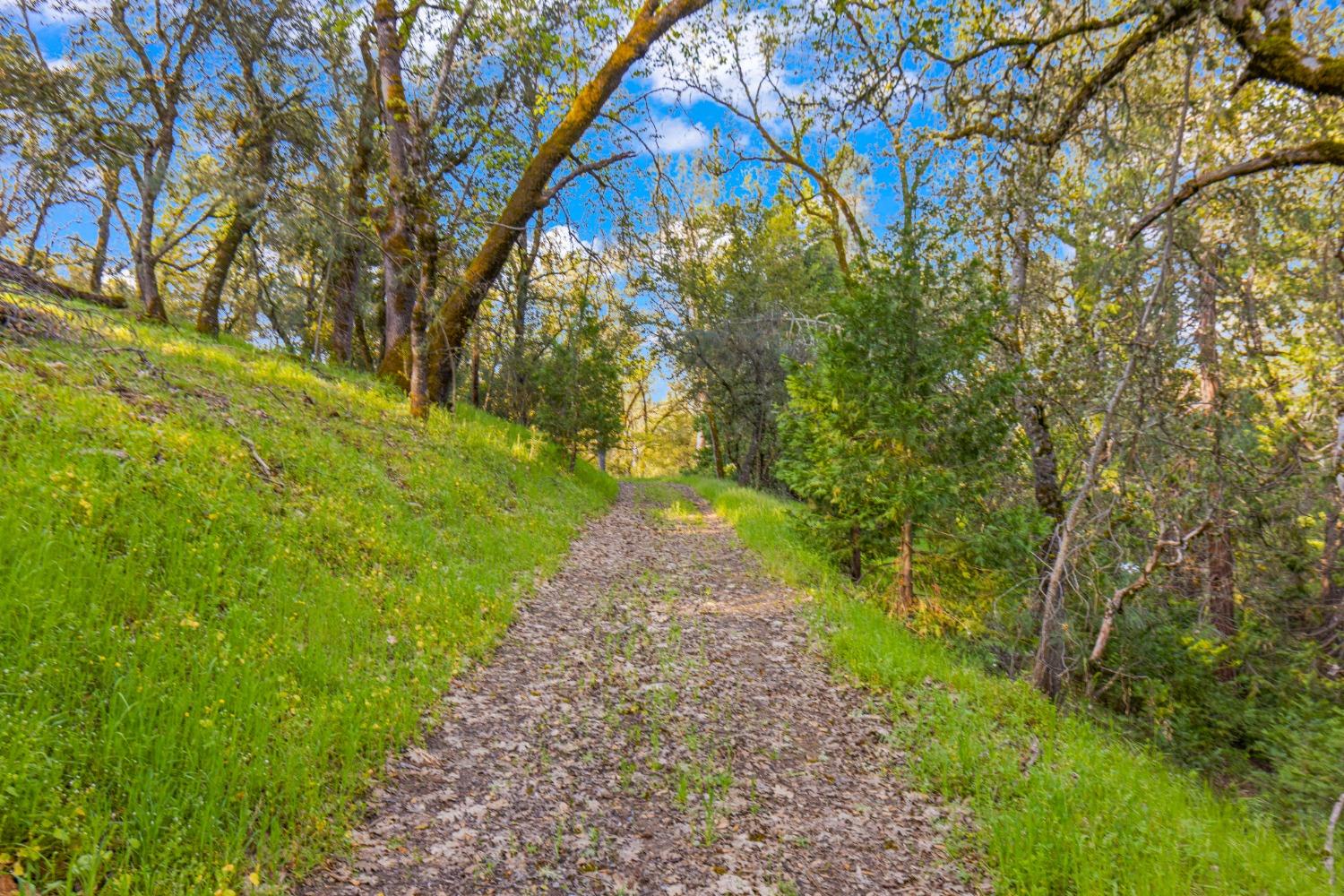 3361 Cedar Creek Road