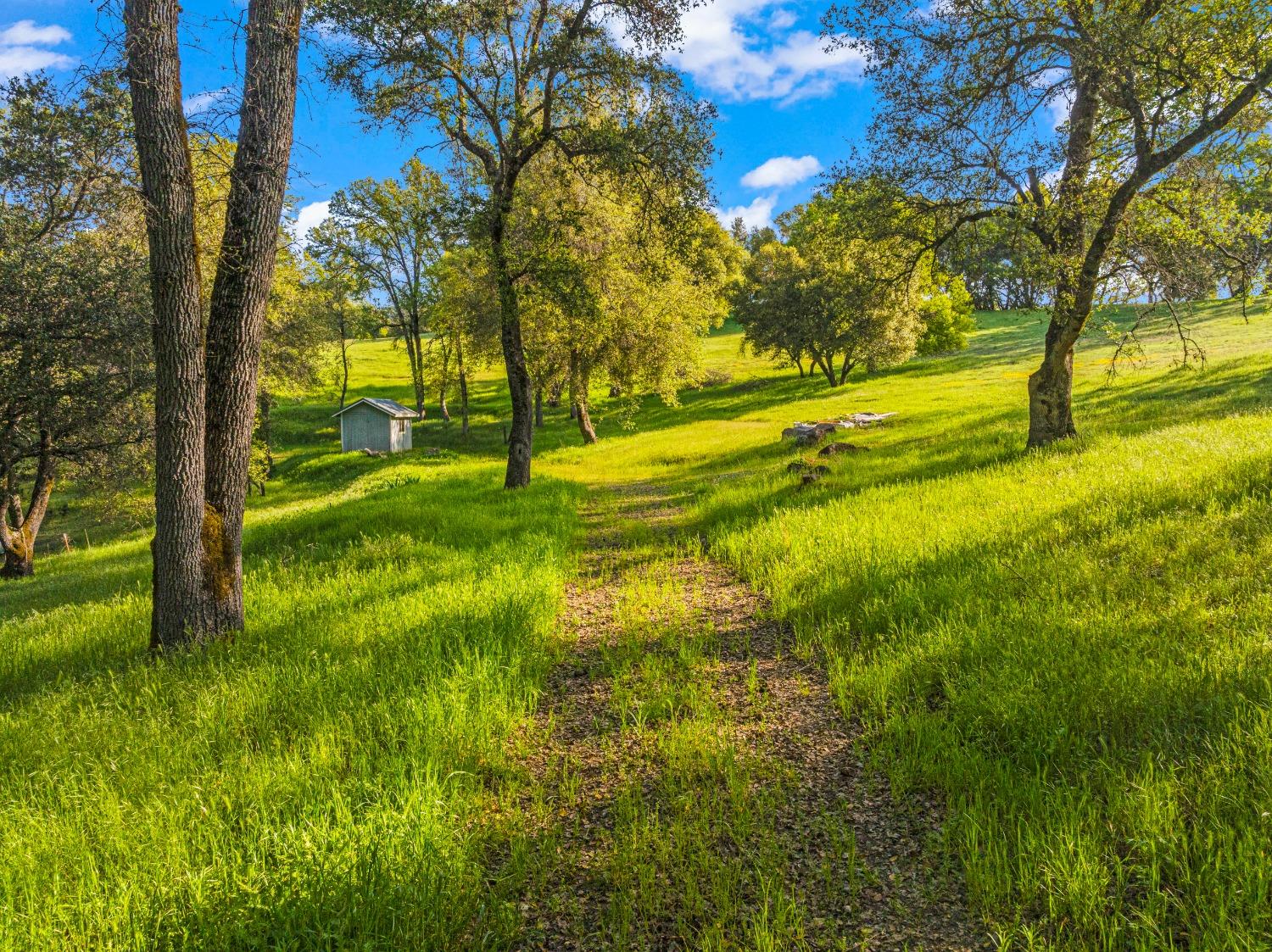 3361 Cedar Creek Road