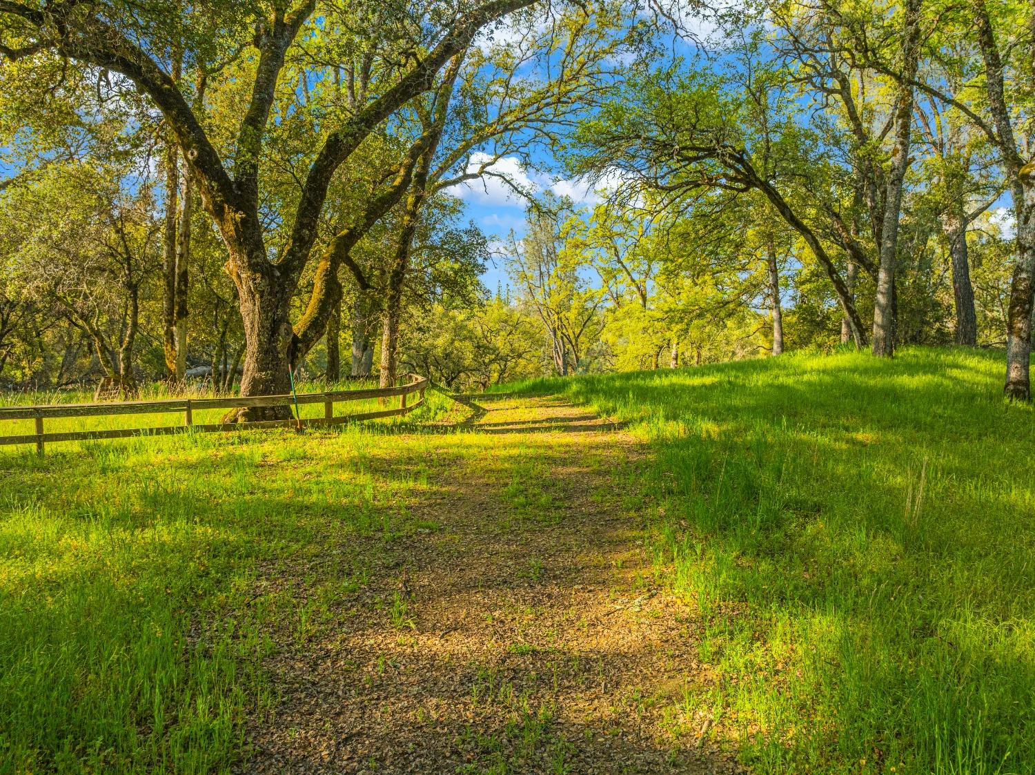 3361 Cedar Creek Road