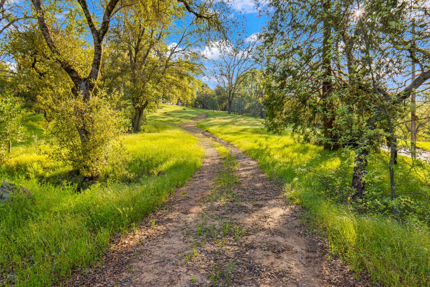 3361 Cedar Creek Road