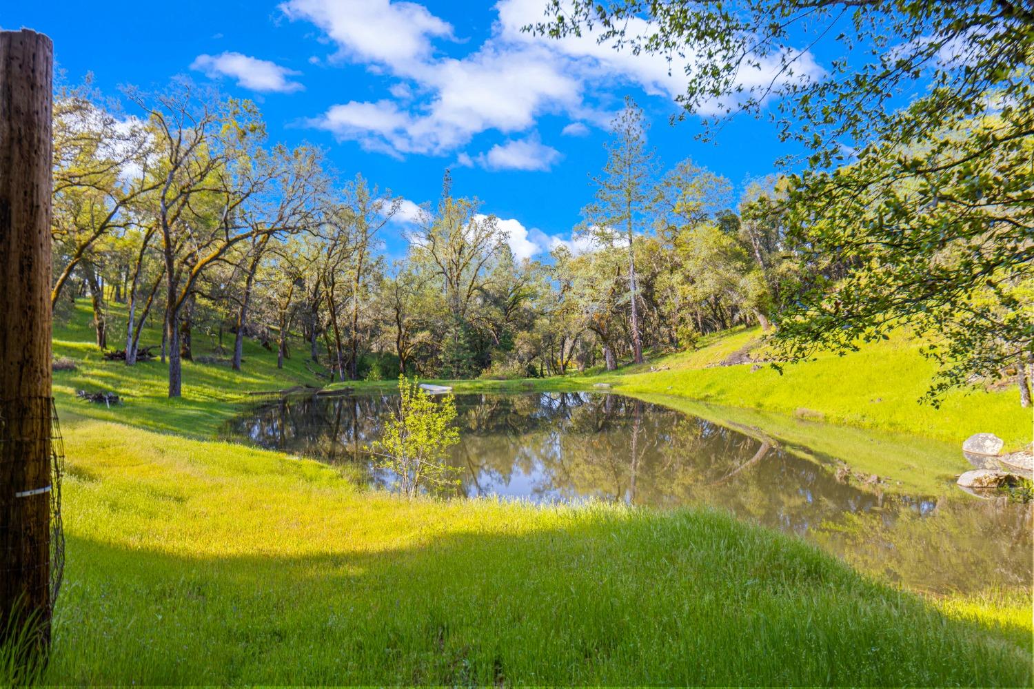 3361 Cedar Creek Road