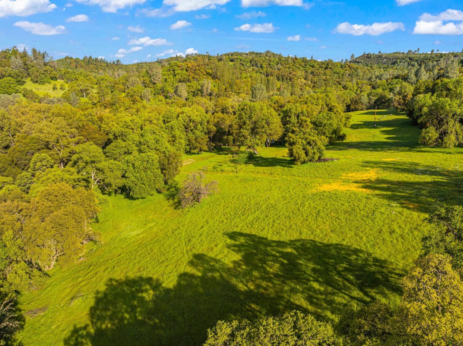 3361 Cedar Creek Road