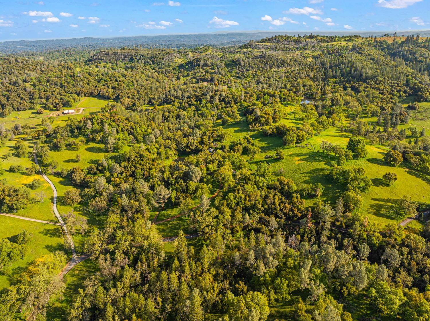 3361 Cedar Creek Road