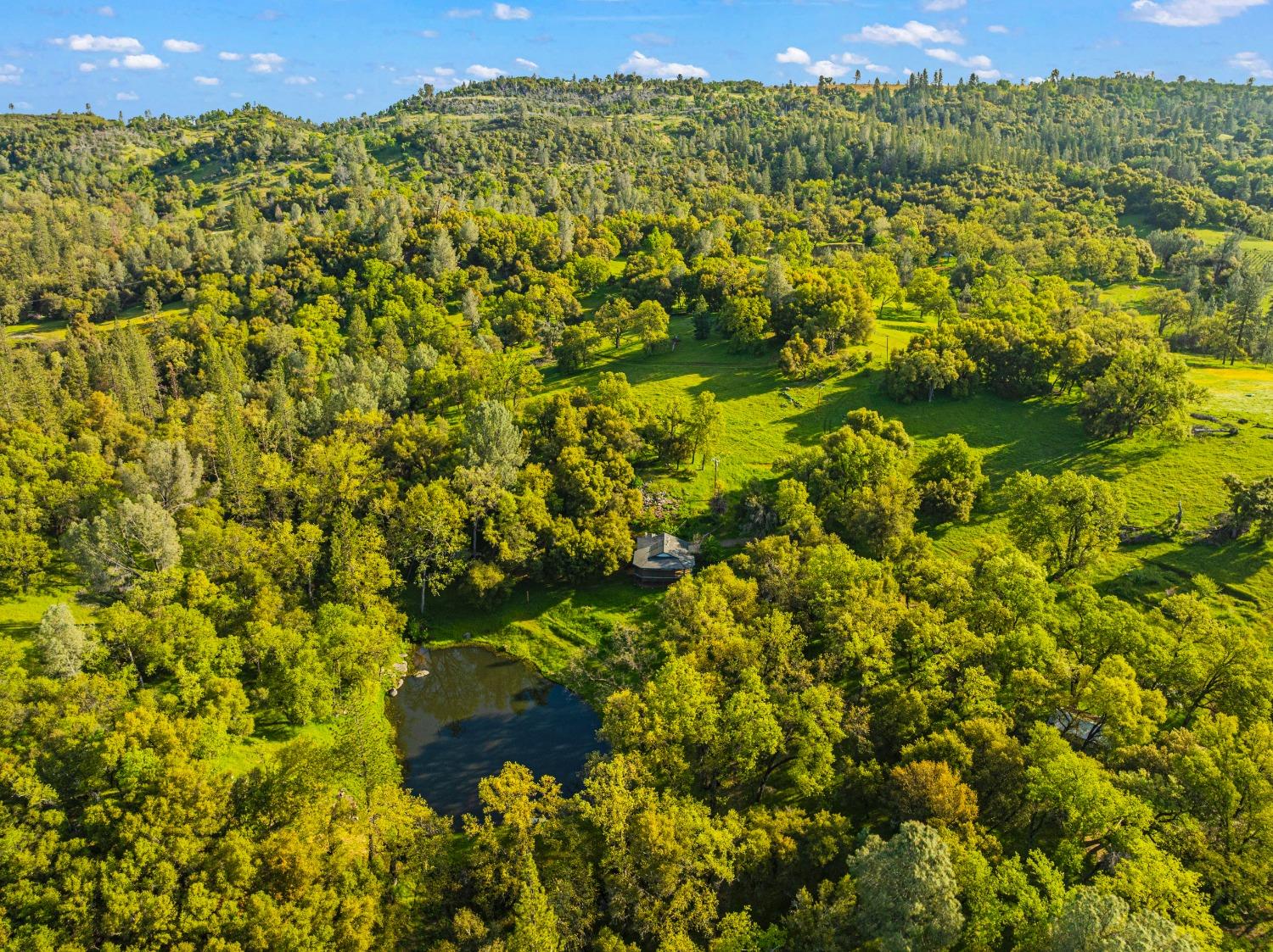 3361 Cedar Creek Road