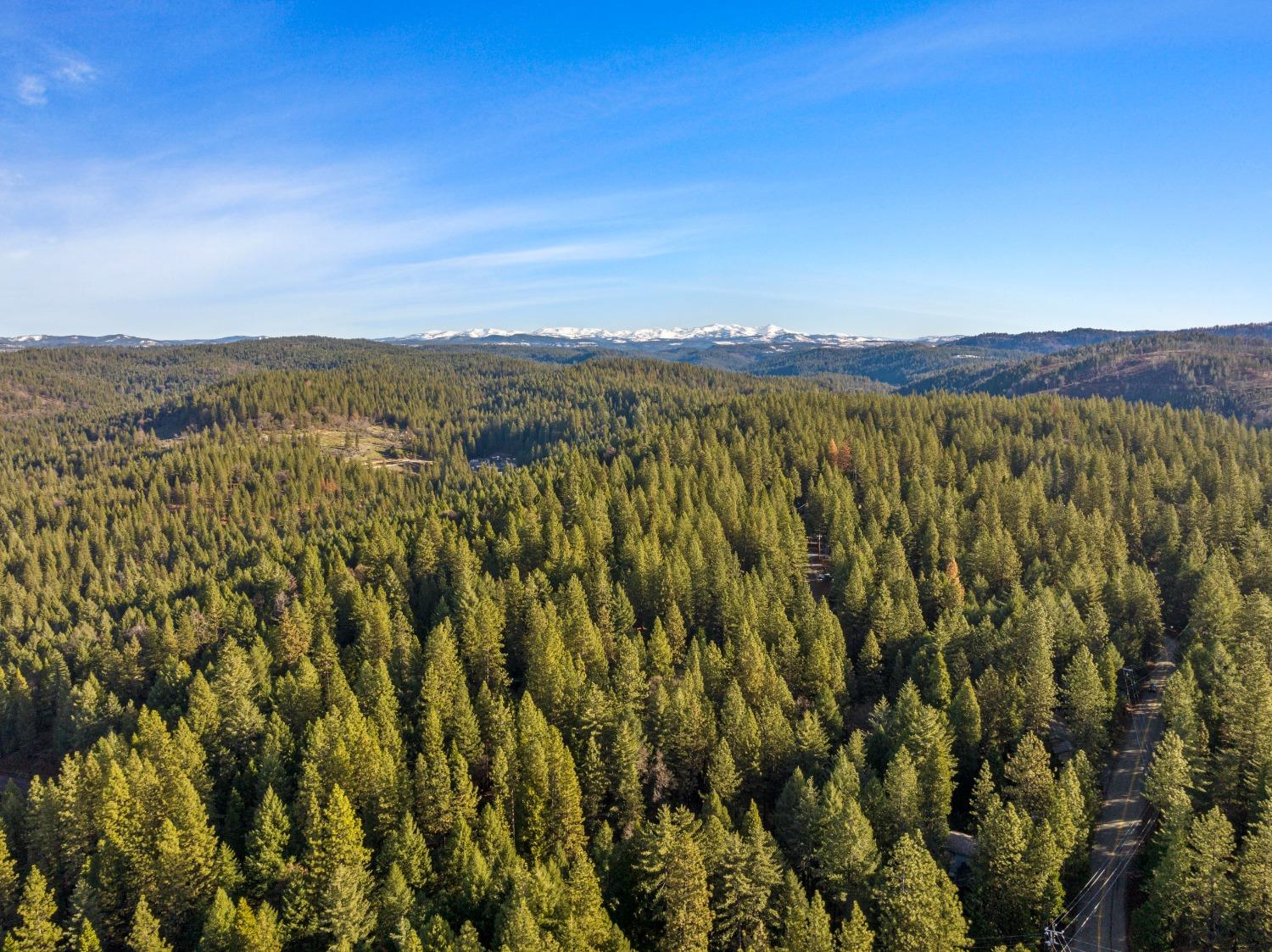 5415 Buttercup Drive