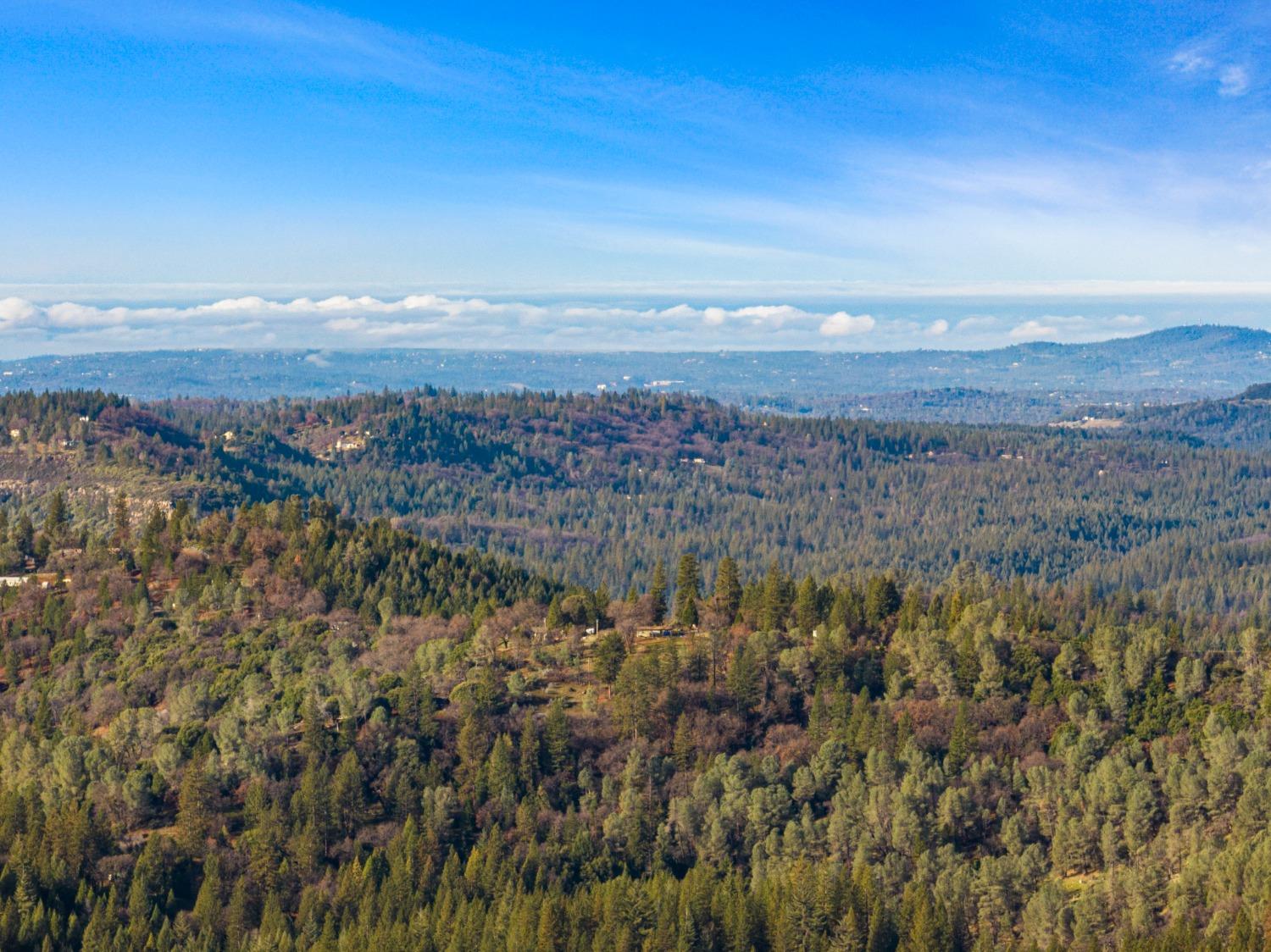 5415 Buttercup Drive