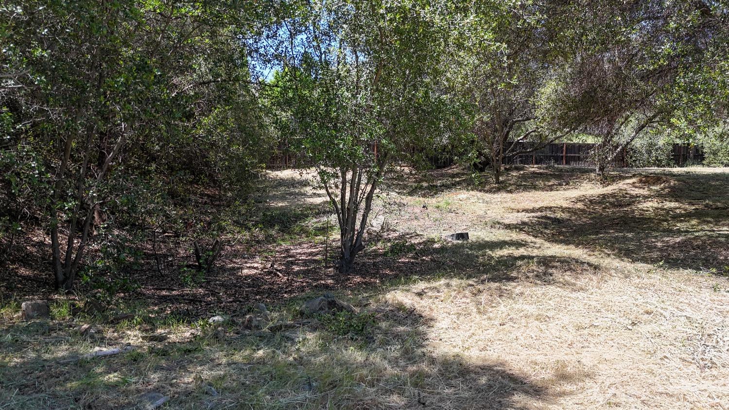 2532 Sonora Court