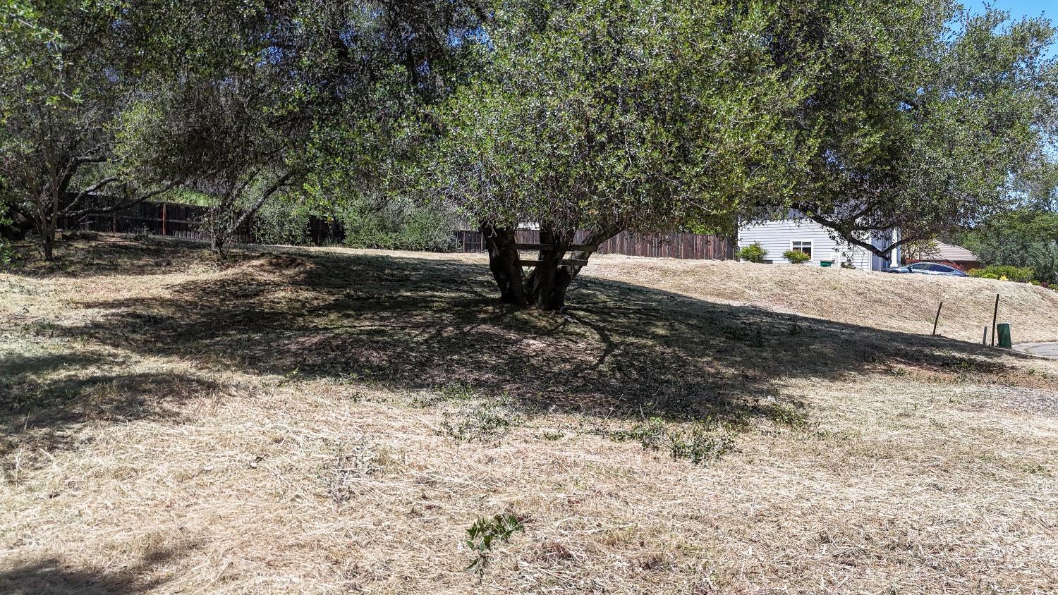 2532 Sonora Court