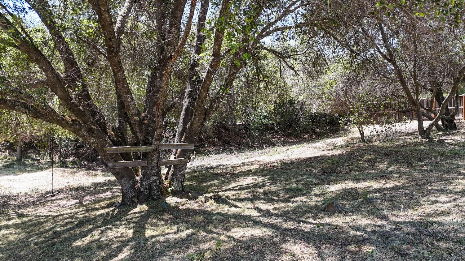 2532 Sonora Court