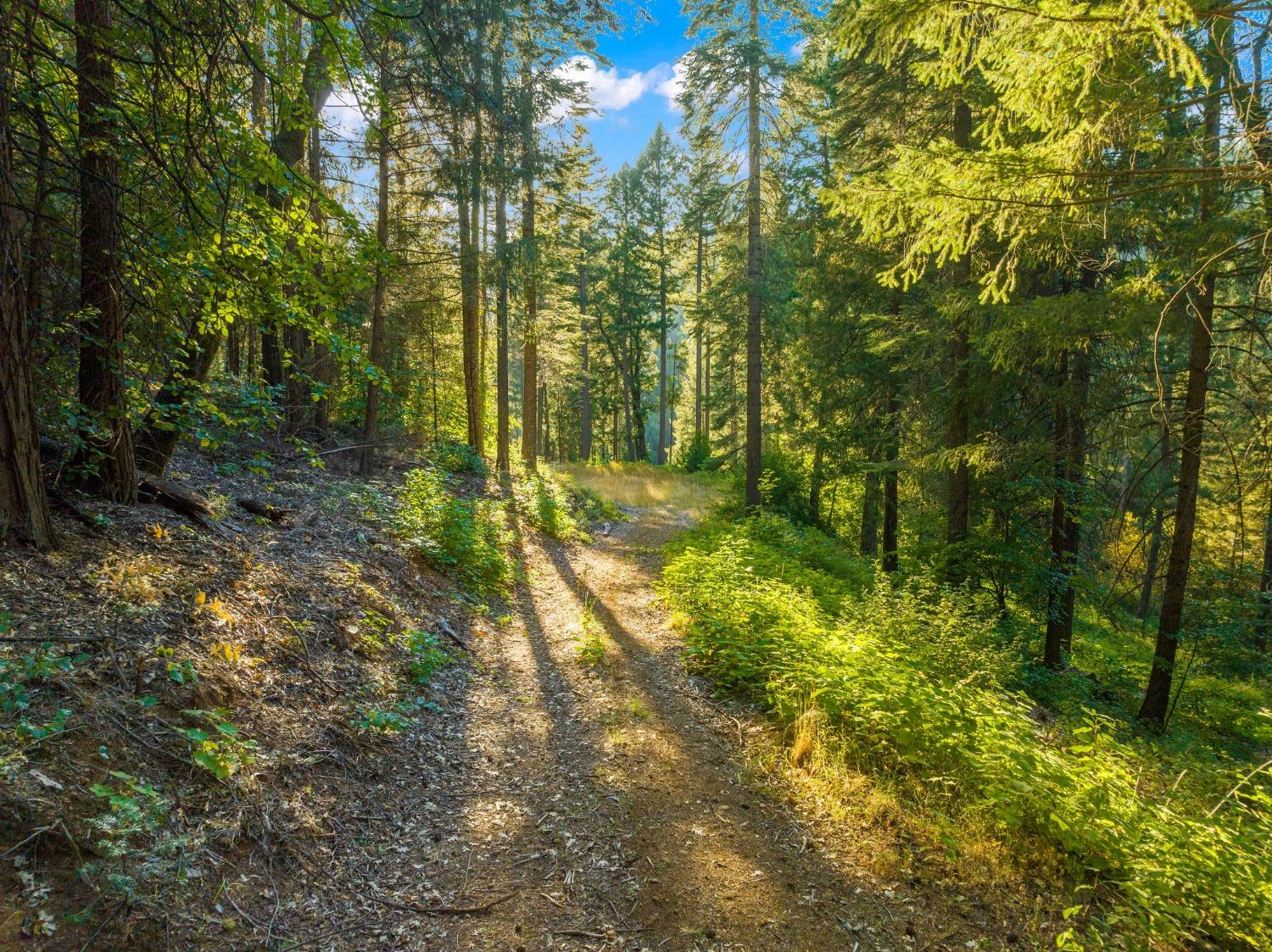 0 Spirit Lane