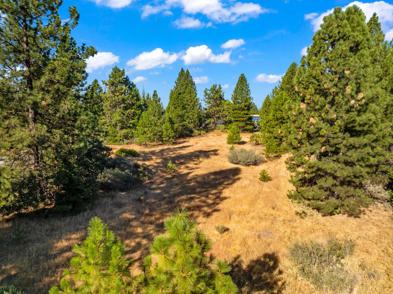 3131 Sierra Blanca Drive