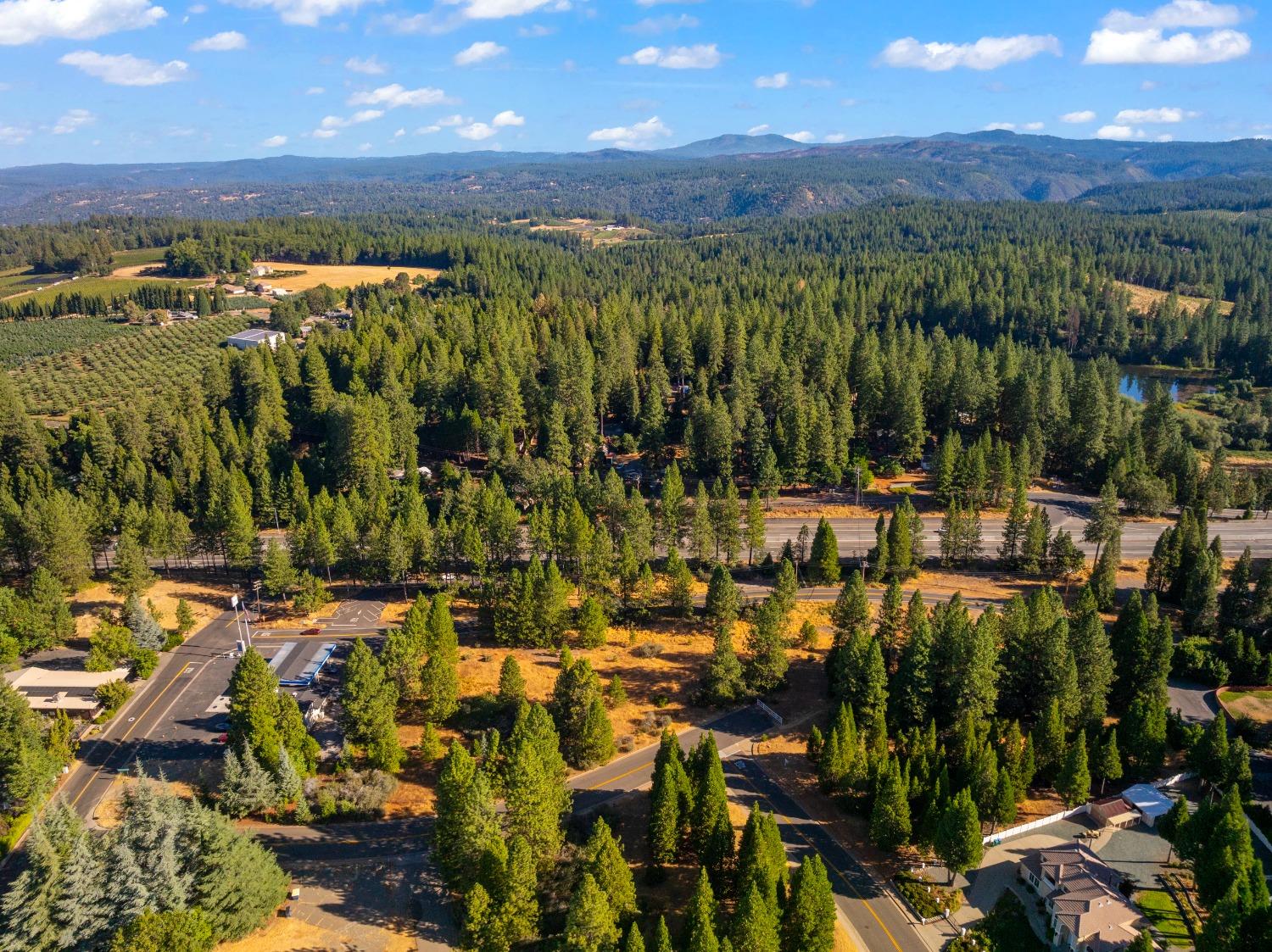 3131 Sierra Blanca Drive