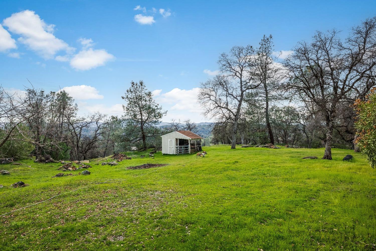 1502 Arrowbee Drive