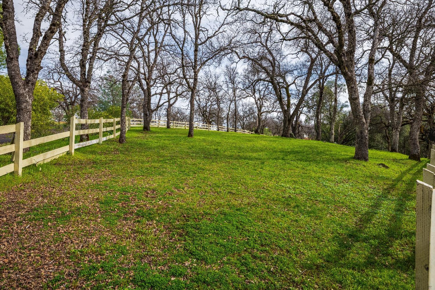 1502 Arrowbee Drive