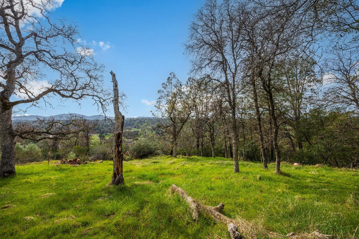 1502 Arrowbee Drive